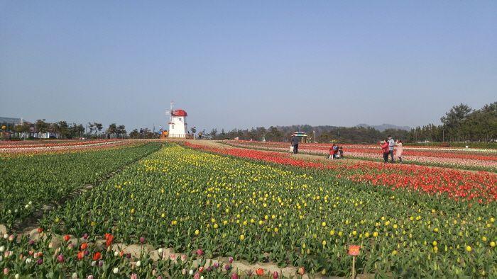 Summary of South Korea April Celebrations